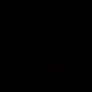 Meet your Posher, Max